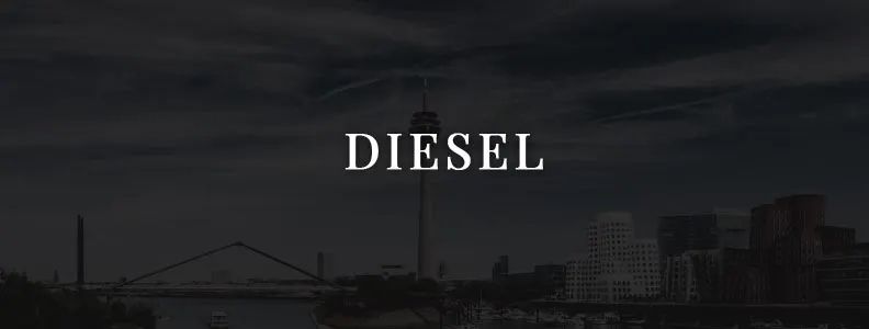 Diesel by Renzo Rosso - Vom Bauernjungen zum Designer