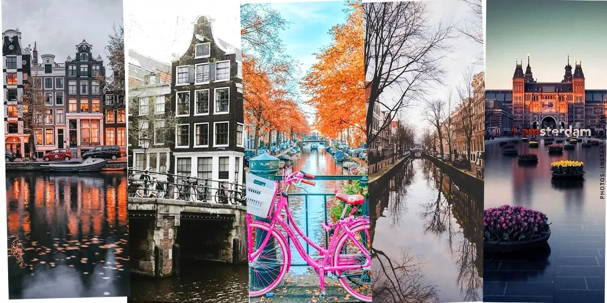 Holland: Urlaub mit Kind & Hund - Sightseeing, Hotels & Meer