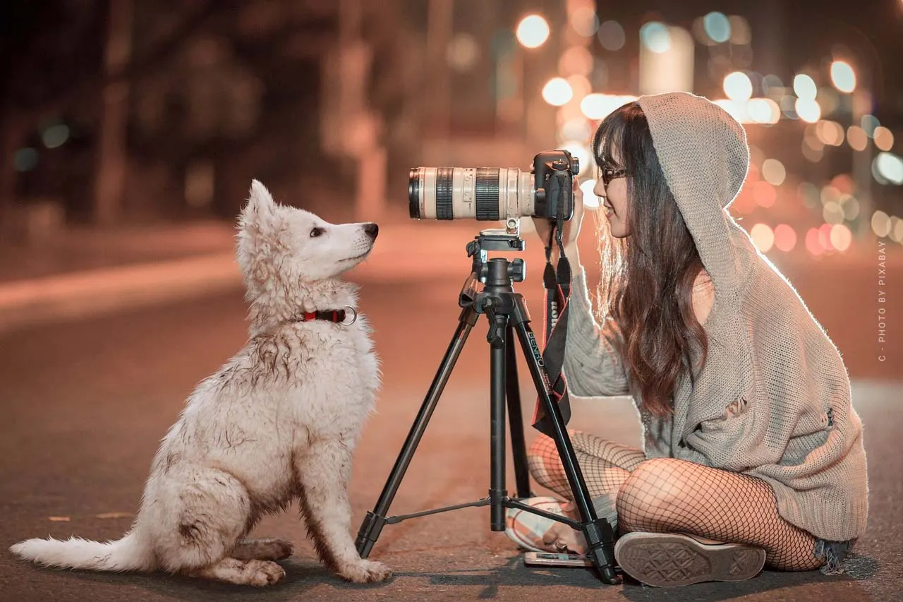 Fotografieren Grundlagen XXL: Technik, Zubehör, Tools & deine Kamera