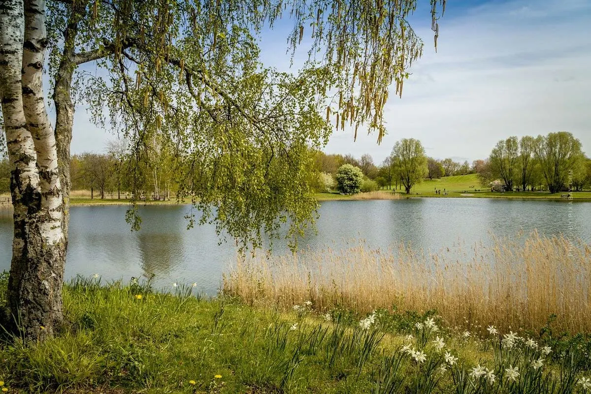 Campingplatz in Berlin: Breitehorn, Krossinsee & Co. - Natur in der Großstadt