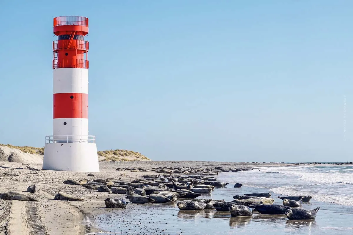 Nordsee Strand Empfehlungen: Der schönste Strand + 4 weitere Bade-Tipps