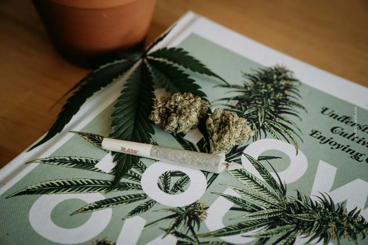 Cannabis Legalisierung Deutschland: Was ist seit April 2024 erlaubt?