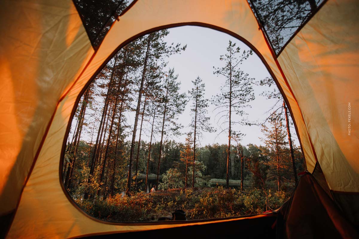 Bundutec Bundutop Dachzelt: Auf Knopfdruck ausfahrbarer Schlafplatz beim  Camping - FIV
